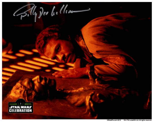 Billy Dee Williams "Star Wars The Empire Strikes Back" signed 8x10 photo